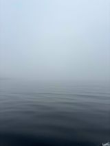 Вот  такой был туман