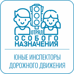 Юные инспекторы дорожного движения