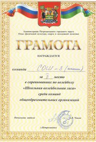 Школьная волейбольная лига. 2 место. Юноши