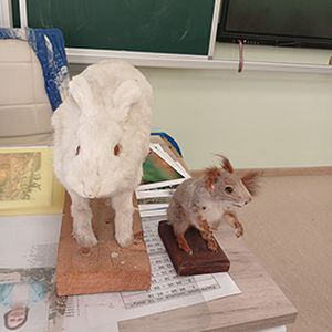 Национальный музей РК — всегда желанный гость нашей школы.