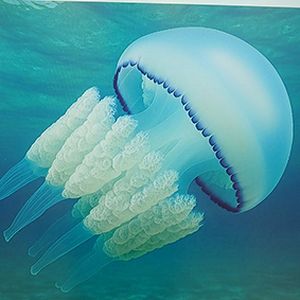 31 октября - Международный день Чёрного моря